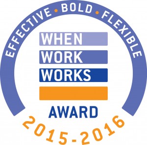 2015-2016 When Work Works Award